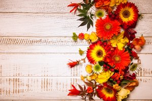Обои на рабочий стол: autumn, Floral, flowers, frame, leaves, wood, композиция, листья, осень, цветы