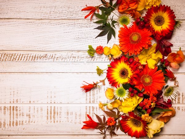 autumn, Floral, flowers, frame, leaves, wood, композиция, листья, осень, цветы