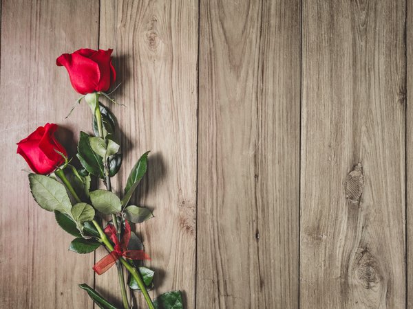 red, romantic, roses, wood, красные розы
