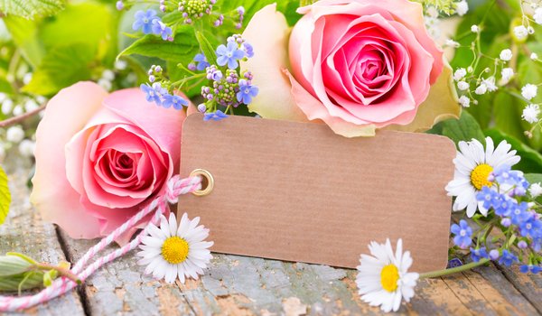 Обои на рабочий стол: flowers, pink, romantic, roses, лепестки, розы