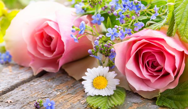 Обои на рабочий стол: flowers, pink, romantic, roses, лепестки, розы