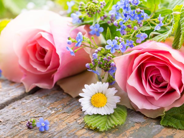 flowers, pink, romantic, roses, лепестки, розы