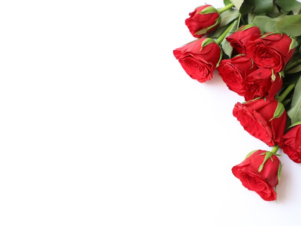 flowers, red, romantic, roses, wood, букет, красные, розы, цветы