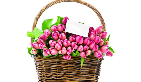 Обои на рабочий стол: pink, romantic, spring, tulips, букет, корзина, розовые тюльпаны, тюльпаны, цветы