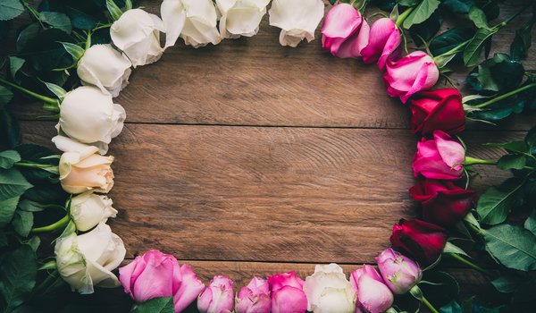 Обои на рабочий стол: flowers, frame, pink, romantic, roses, white, wood, рамка, розы, цветы