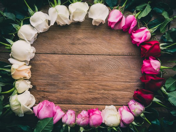 flowers, frame, pink, romantic, roses, white, wood, рамка, розы, цветы