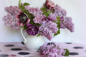 Обои на рабочий стол: ваза, ветки, сирень, скатерть, тюльпаны, цветы