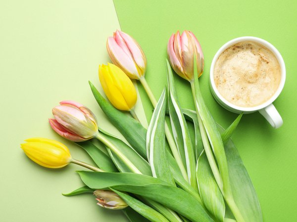 bouquet, coffee cup, flowers, pink, spring, tulips, with love, yellow, букет, тюльпаны, цветы, чашка кофе