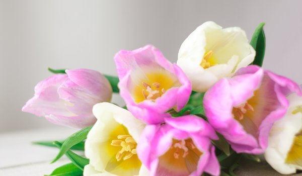 Обои на рабочий стол: flowers, fresh, love, pink, romantic, spring, tulips, white, букет, розовые, тюльпаны, цветы