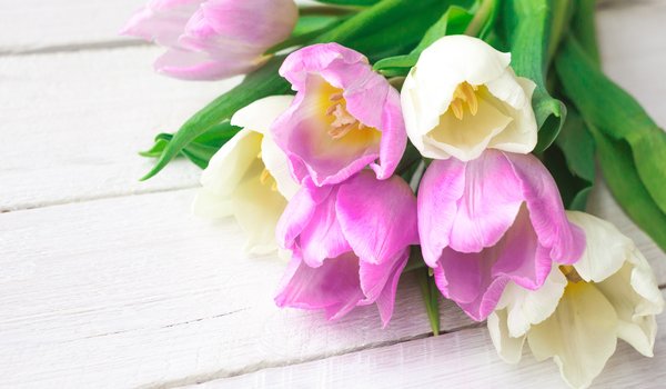 Обои на рабочий стол: flowers, fresh, pink, spring, tulips, white, букет, розовые, тюльпаны, цветы
