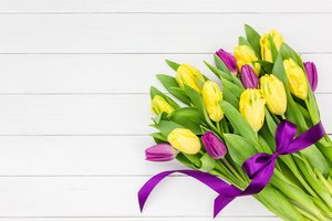 Обои на рабочий стол: beautiful, flowers, purple, romantic, spring, tulips, yellow, букет, желтые, лента, тюльпаны, фиолетовые, цветы