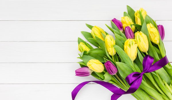 Обои на рабочий стол: beautiful, flowers, purple, romantic, spring, tulips, yellow, букет, желтые, лента, тюльпаны, фиолетовые, цветы