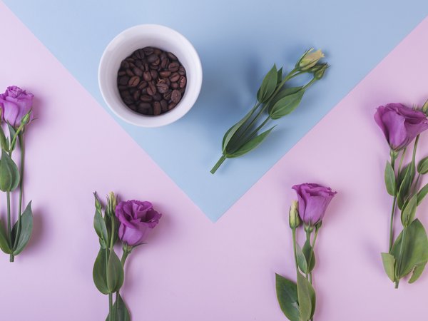 beans, coffee, cup, eustoma, flowers, purple, зёрна, кофе, фиолетовый, фон, цветы, чашка, эустома