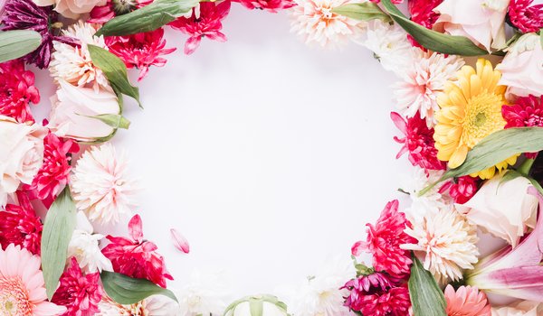 Обои на рабочий стол: colorful, Floral, flowers, frame, pink, рамка, цветы