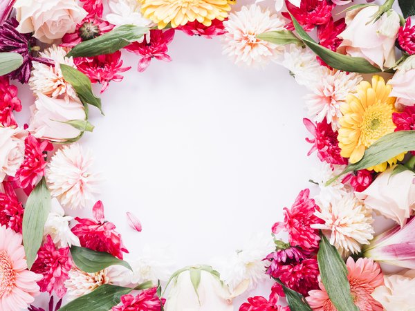 colorful, Floral, flowers, frame, pink, рамка, цветы