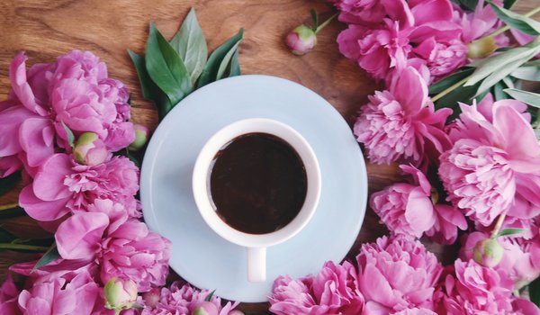 Обои на рабочий стол: coffee, cup, flowers, peonies, pink, wood, пионы, розовые, цветы, чашка кофе