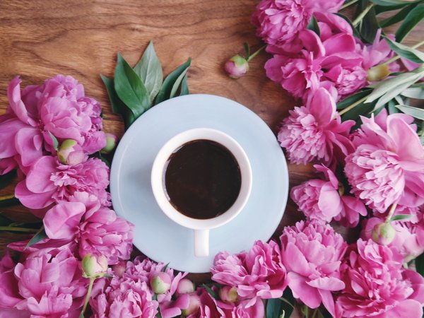 coffee, cup, flowers, peonies, pink, wood, пионы, розовые, цветы, чашка кофе