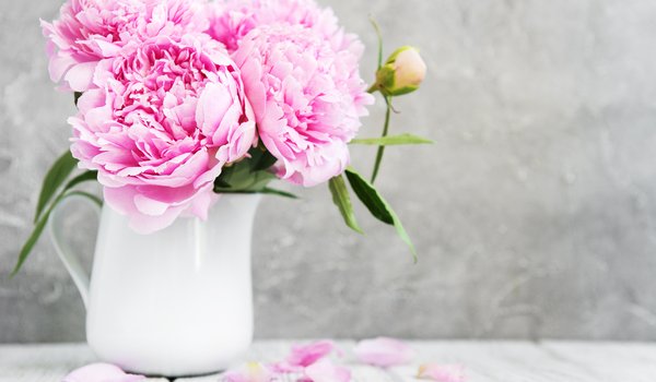 Обои на рабочий стол: flowers, peonies, pink, wood, пионы, розовые, цветы