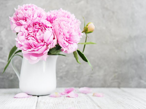 flowers, peonies, pink, wood, пионы, розовые, цветы