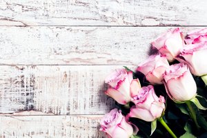 Обои на рабочий стол: flowers, pink, roses, wood, букет, розовые, розы, цветы