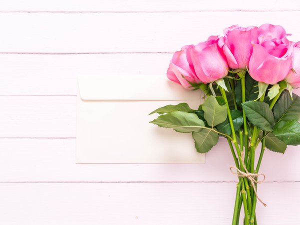 flowers, fresh, pink, roses, wood, розовые, розы, цветы