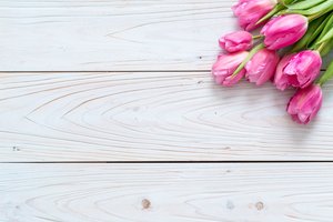 Обои на рабочий стол: flowers, fresh, pink, tulips, wood, розовые, тюльпаны, цветы