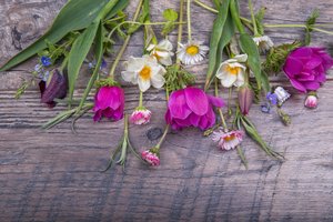 Обои на рабочий стол: colorful, flowers, pink, spring, tulips, wood, букет, бутоны, весна, тюльпаны, цветы