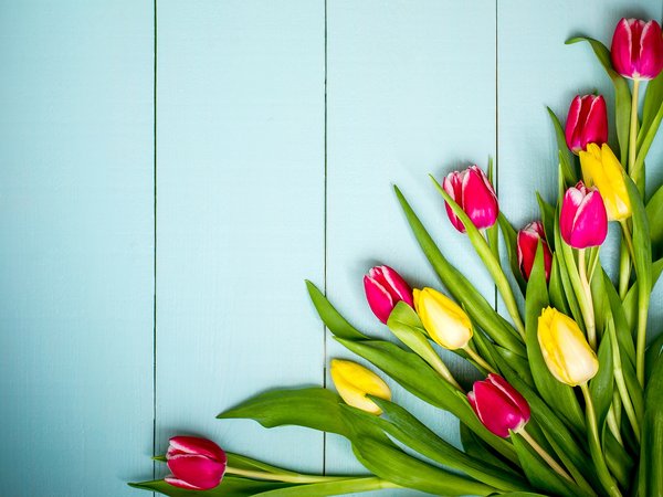 colorful, flowers, pink, spring, tulips, wood, yellow, весна, тюльпаны, цветы