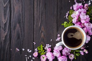 Обои на рабочий стол: blossom, coffee cup, flowers, pink, wood, розовые, цветы, чашка кофе