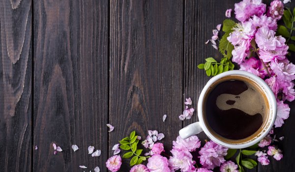 Обои на рабочий стол: blossom, coffee cup, flowers, pink, wood, розовые, цветы, чашка кофе