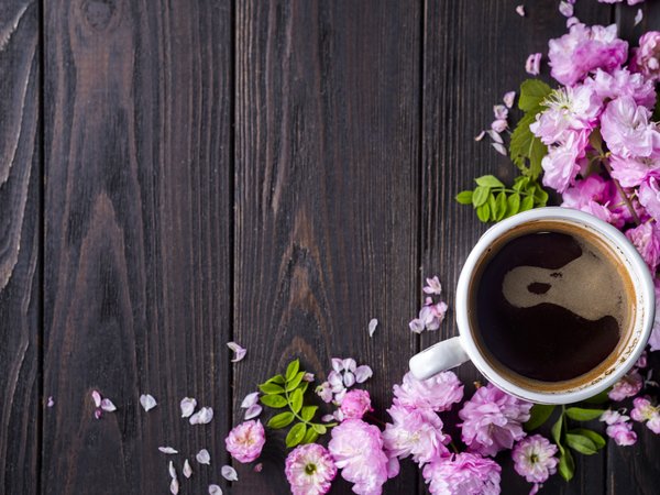 blossom, coffee cup, flowers, pink, wood, розовые, цветы, чашка кофе