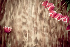 Обои на рабочий стол: pink, romantic, spring, tulips, wood, букет, розовые тюльпаны, тюльпаны, цветы
