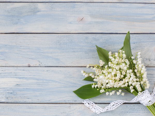 flowers, lily of the valley, spring, white, wood, букет, весна, ландыши, цветы