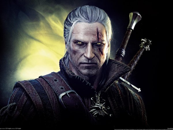 assassins of kings, the witcher 2, ведьмак, взгляд