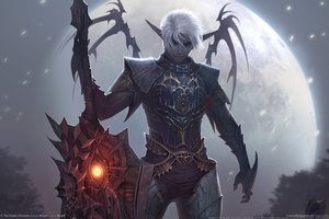 Обои на рабочий стол: la2, lineage 2, lineage ii, зарич, ла2, линейка, луна, таллум сет, темный эльф