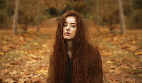 Обои на рабочий стол: боке, девушка, длинные волосы, меланхолия, осенний лес, рыжеволосая