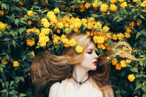 Обои на рабочий стол: beauty, flowers, girl, hair, Long, nature, summer, yellow