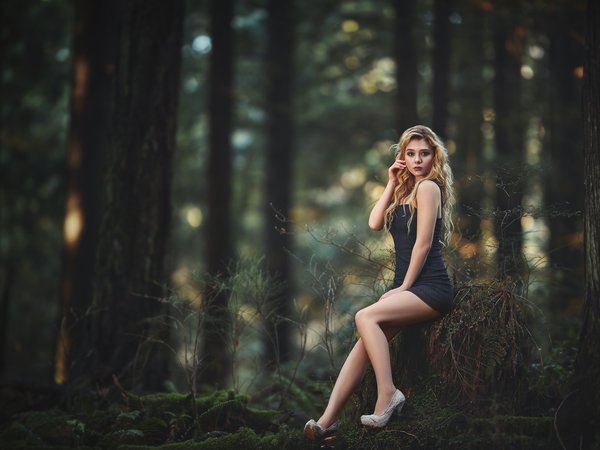 Raymond Wong, девушка, деревья, лес, платье, природа