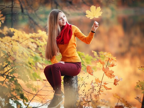 autumn, blonde, blue eyes, bokeh, branch, depth of field, face, fall, forest, girl, jeans, leaves, lips, log, long hair, looking away, model, mouth, photo, photographer, portrait, scarf, Sergey Shatskov, sitting, sneakers, straight hair, sweater, trees
