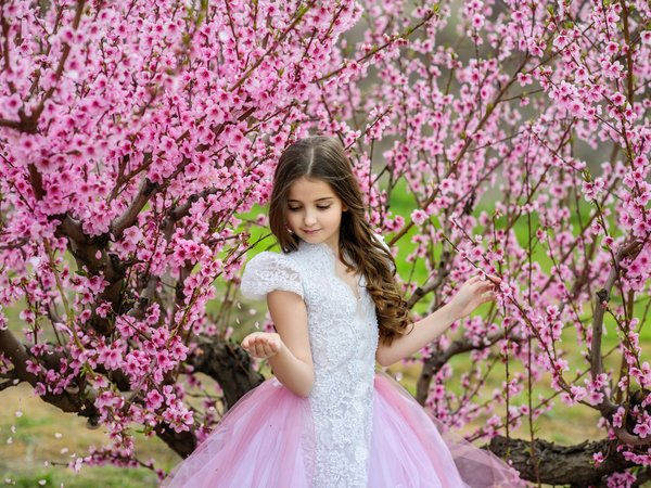 beautiful, blossom, girl, pink, spring, весна, девочка, деревья, платье, сакура, цветение
