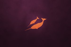 Обои на рабочий стол: narwhal, natty, ubuntu