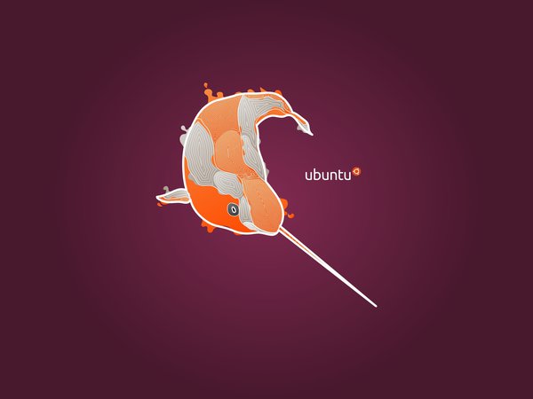 11.04, linux, natty narwhal, ubuntu, unity, линукс, убунту