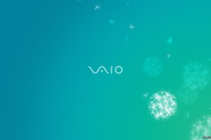 Обои на рабочий стол: vaio, одуванчики, фон