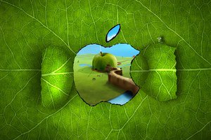 Обои на рабочий стол: apple, гусеница, дом, зелень, канаты, лист, окно, прожилки, яблоко