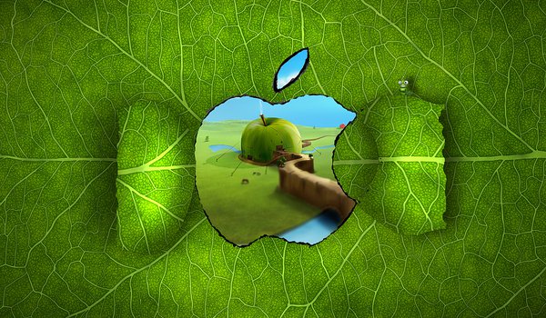 Обои на рабочий стол: apple, гусеница, дом, зелень, канаты, лист, окно, прожилки, яблоко