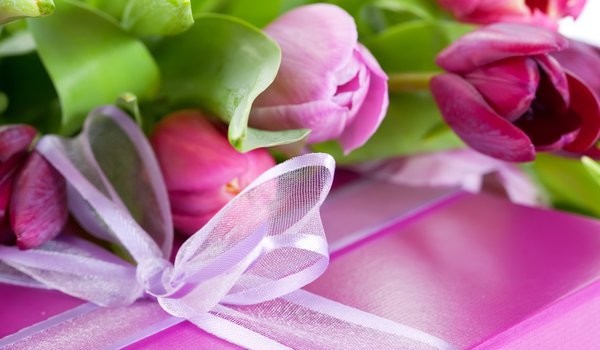 Обои на рабочий стол: бантик, коробка, лента, лепестки, листья, подарок, поздравление, праздник, розовый, сиреневый, сюрприз, тюльпан, упаковка, фиолетовый, цветок, цветы