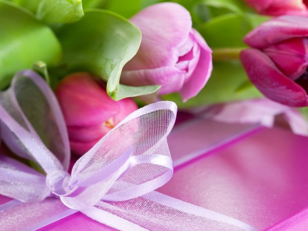 бантик, коробка, лента, лепестки, листья, подарок, поздравление, праздник, розовый, сиреневый, сюрприз, тюльпан, упаковка, фиолетовый, цветок, цветы