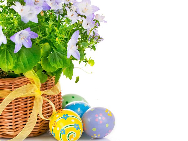 Easter, пасха, цветы, яйца