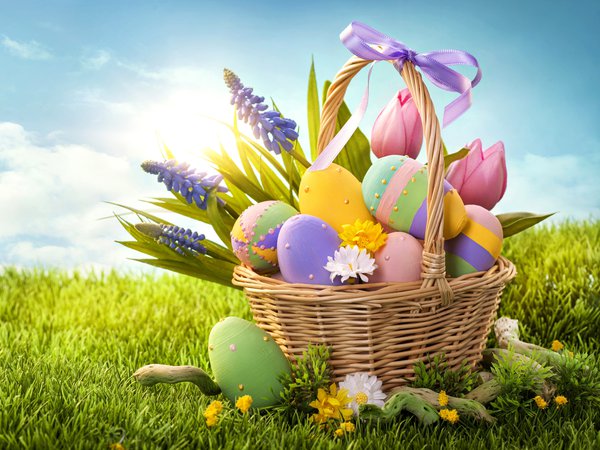 Easter, бант, весна, корзина, пасха, пасхальные, праздник, трава, цветы, яйца