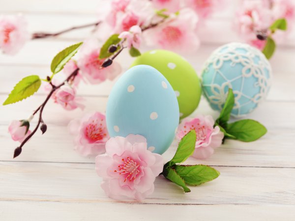 Easter, весна, ветка, голубые, зеленые, пасха, пасхальные, праздник, розовые, цветение, цветы, яйца